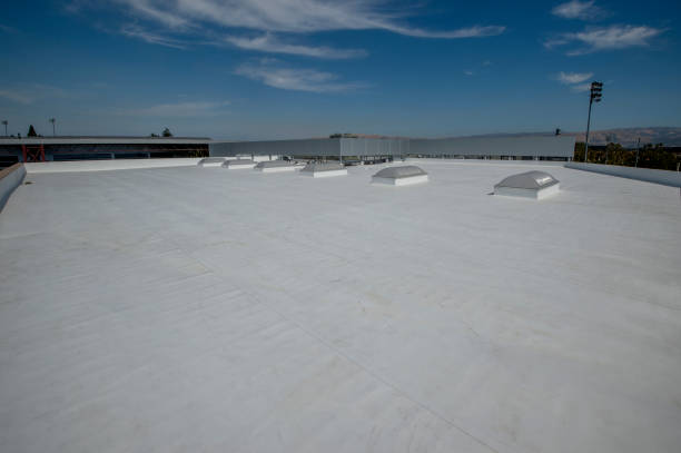 Best EPDM Roofing  in Taylor, MI