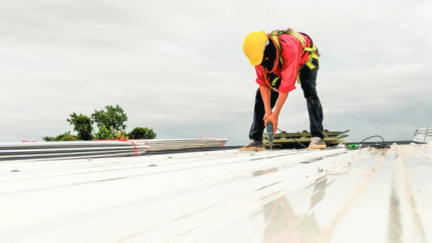 Best Flat Roofing  in Taylor, MI