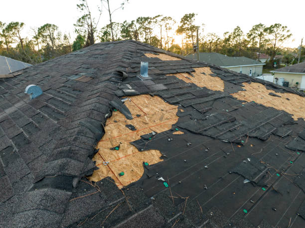 Trusted Taylor, MI Roofing Service Experts
