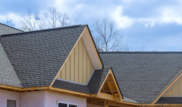 Best Rubber Roofing (EPDM, TPO)  in Taylor, MI