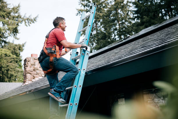 Best Rubber Roofing (EPDM, TPO)  in Taylor, MI