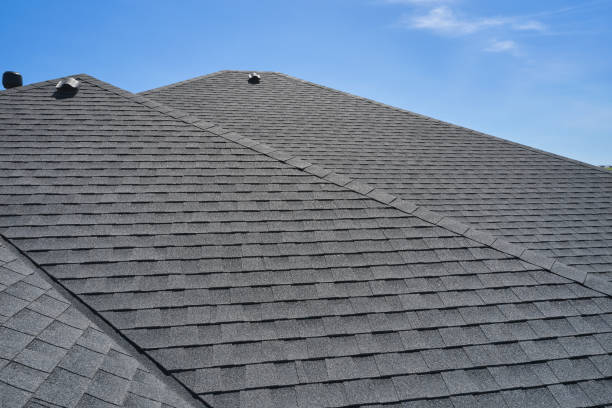 Best Roof Coating and Sealing  in Taylor, MI