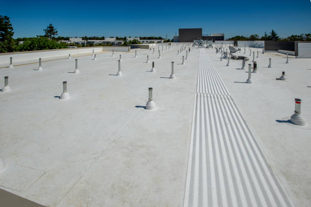 Best Wood Shake Roofing  in Taylor, MI